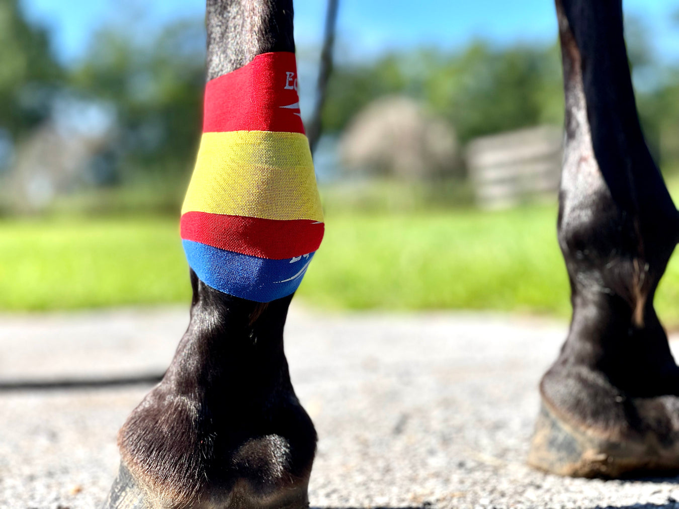 Equi-Tape® application for horse's lower leg injuries and prevention. 