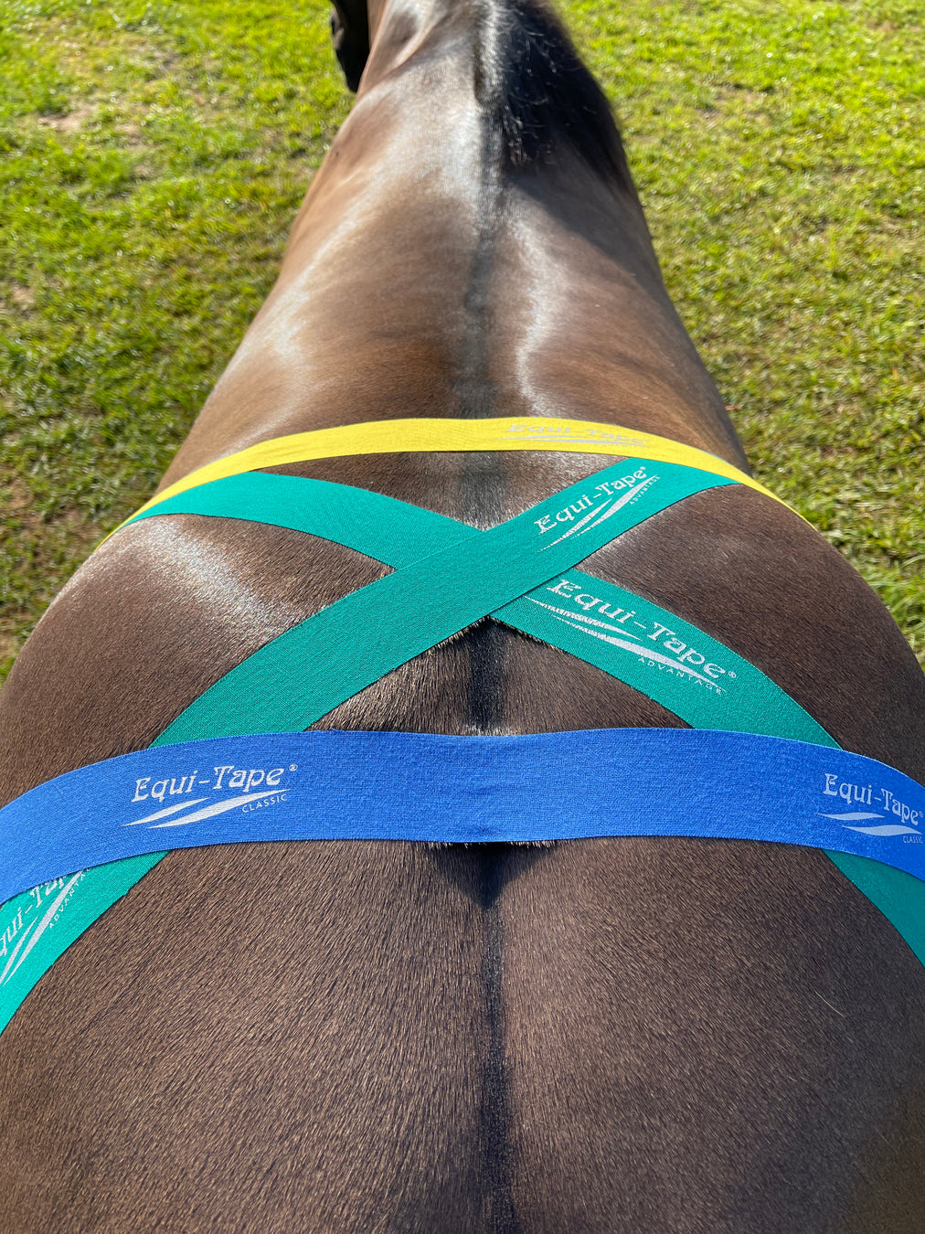 Equi-Tape® Application for sacroiliac issue. Use this application to reduce deep inflammation decreasing pain, stabilize the SI joints, and provide support.  