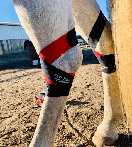 Equi-Tape Application of equine kinesiology tape for horse's hock. Use this application to support and stabilize the hock after surgery, joint injections, injuries and dysfunctions like bone spavi, thoroughpin, capped hocks, sprains, tears, inflammation, swelling and more. Equi-Tape is clinically prove to help hock, no side effects, no active ingredient, safe for you and your horse. 