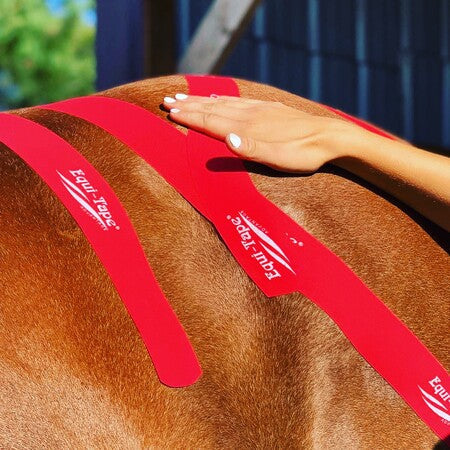 The Worlds Best Equine Kinesiology Tape