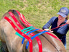 Equine kinesiology world expert Rebecca Haddock, Equi-Taping a horse's back for stability. 
