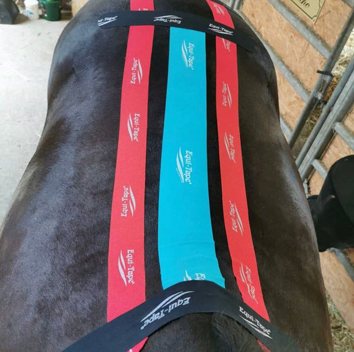 combo_muscle_relax_support_back_black_red_classic_teal_advantage3.jpg__PID:c8ca6036-97c2-4aa6-93de-3a7b4a60e9b4