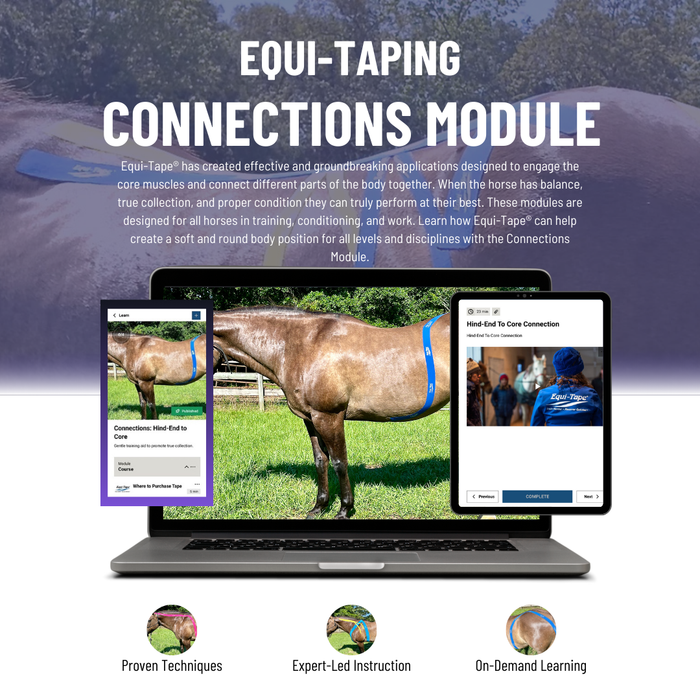 The Equi-Taping® Connection Module teaches equine kinesiology taping for self-carriage, collection aid, encouraging a soft and supple body without the use of harsh training aids. 
