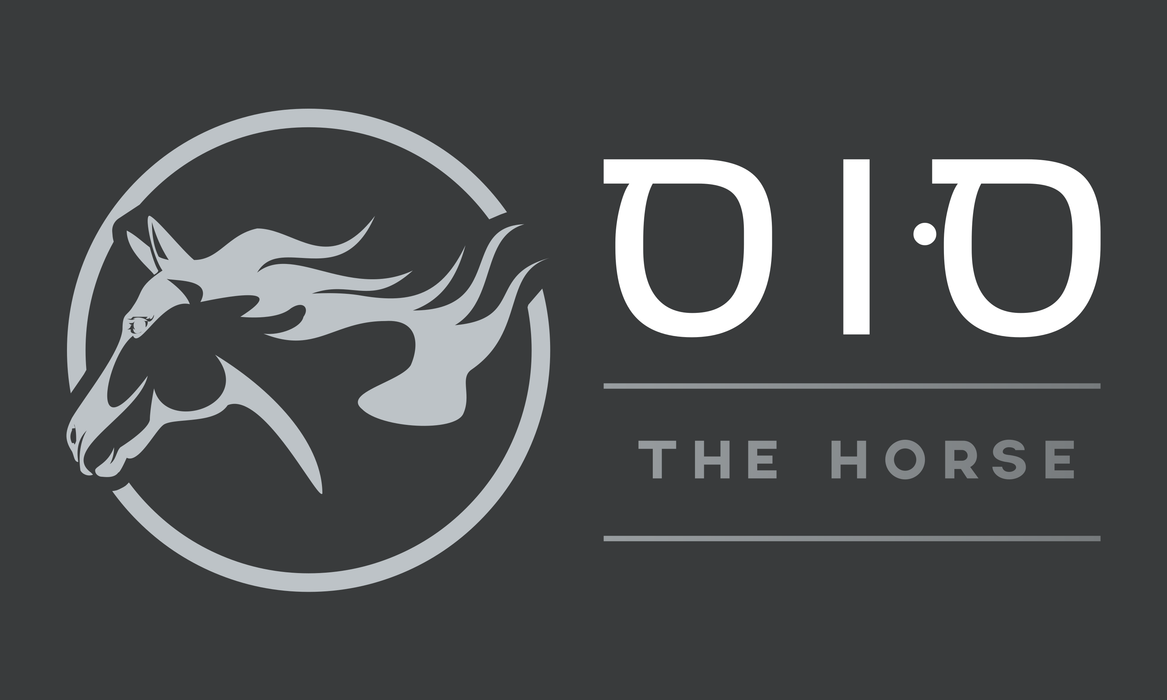 OIO - Equine Biomechanics Course