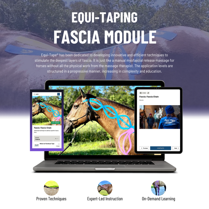 Equi-Tape® Fascia Module - This module teach how to use equine kinesiology tape to make the horse's fascia healthy and hydrated again. It removes fascial adhesions gently with out the need for manual fascia work. 