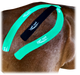 Equi-Tape Introductory Course with equine kinesiology tape