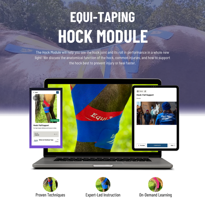 Equi-Taper Back Module is designed to teach all about the hock. Application address hock issues like capped hocks, bone spavin, thoroughpin, swelling, inflammation, joint injections, sprains, tears, and much more. Equi-Tape is an all natural, safe, no side effects alliterative for equine injuries that works - clinical researched to prove efficacy. 