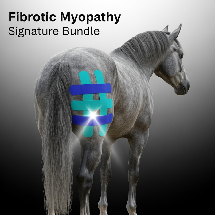 Fibrotic Myopathy Signature Bundle