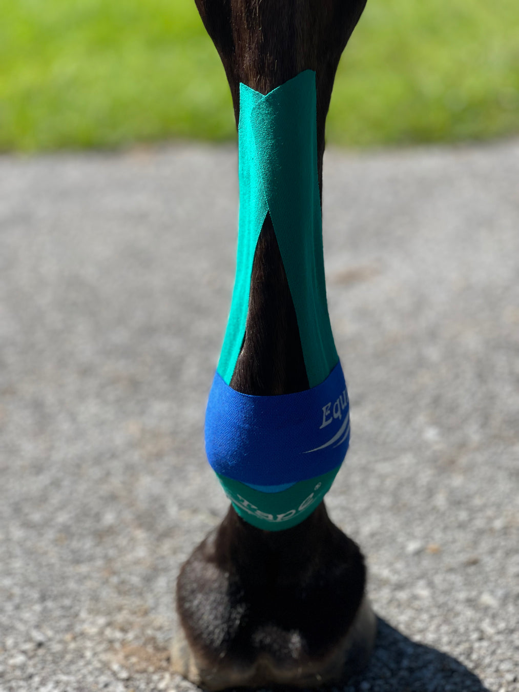 Equi-Tape application for equine suspensory support. Use this application to prevent injuries, help horses heal faster from suspensory ligament/deep digital tendon/superficial digital flexor tendon injuries. 