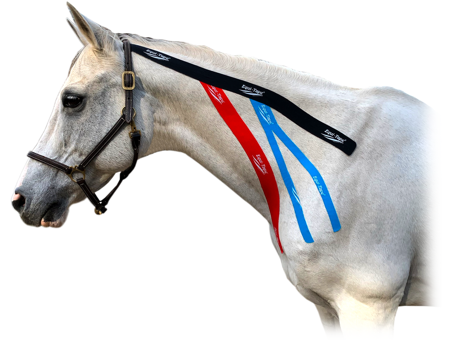 Equi-Tape® neck muscle activation. Use this application to activate the muscles in the neck to support better front-end engagement. 