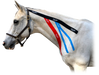 Equi-Tape® neck muscle activation. Use this application to activate the muscles in the neck to support better front-end engagement. 