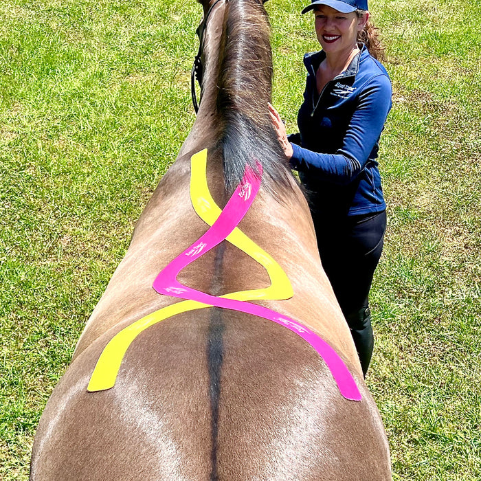 Equi-Tape® application for an equine back massage.