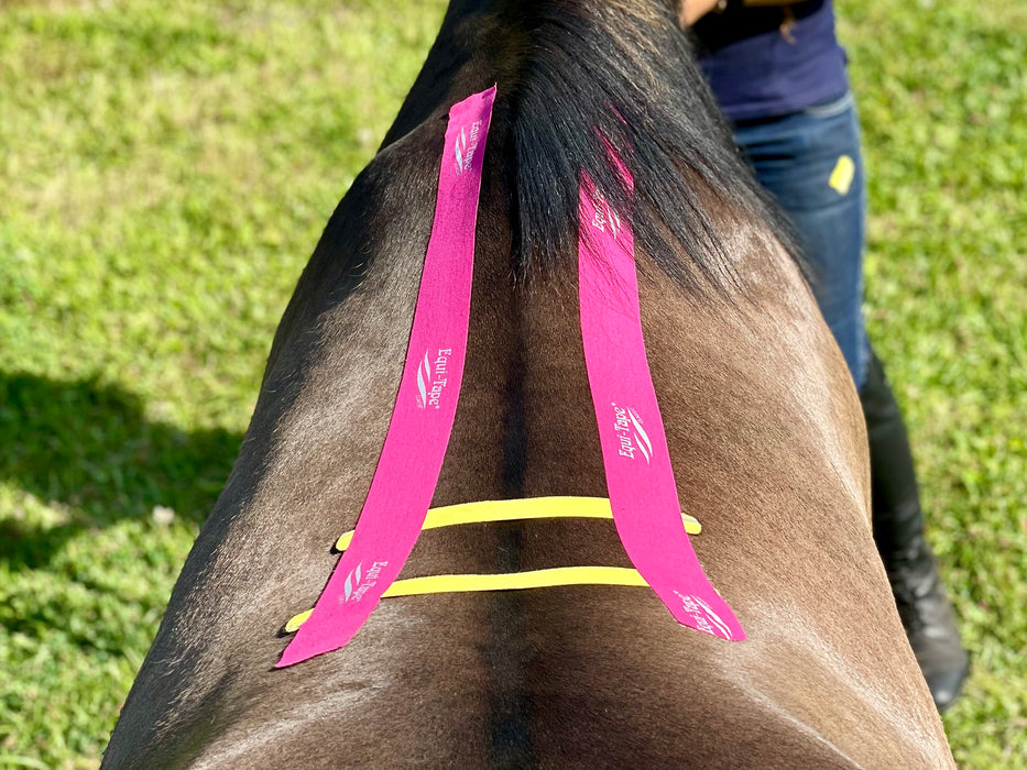 Equi-Tape application for before or after equine chiropractic session to help the horse hold the adjustment, and re-train muscle memory. 