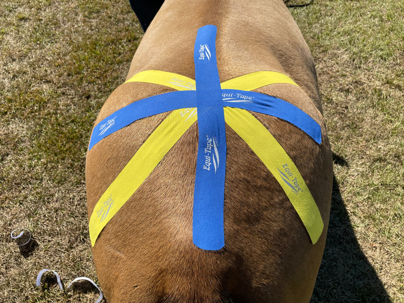 Equi-Tape® application for euine sacroiliac adjustment. Use this application before or after a chiropractic adjustment to help your horse hold the adjustment, remove deef inflammation, and re-train muscle memory. 