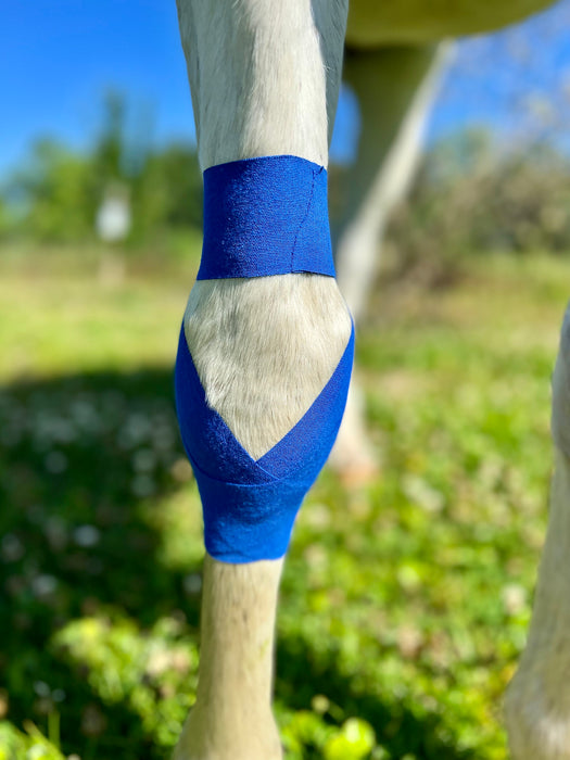 Equi-Tape® application for equine carpus support.