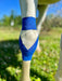 Equi-Tape® application for equine carpus support.