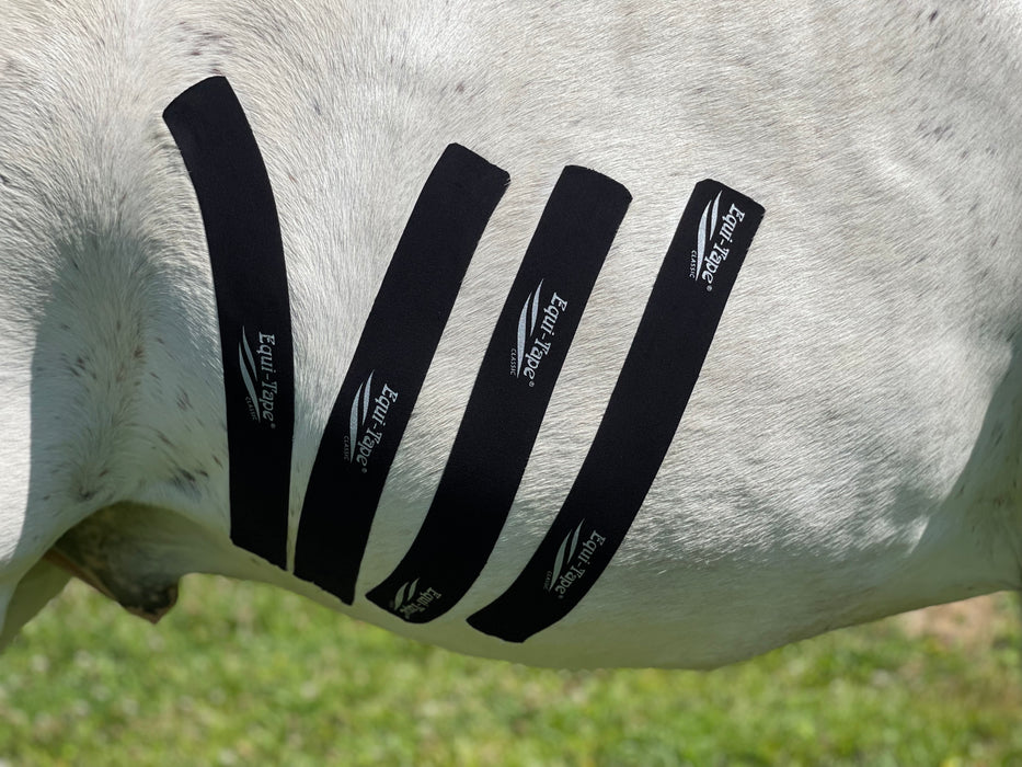 Equi-Tape application to activate the core muscles for horses. Use for training and conditioning to engage the core muscles. 