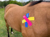 Equi-Tape application to boost equine immune system and reduce histamine response