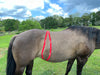 Equi-Tape application to reduce hormonal sensitivity for equine mares. 