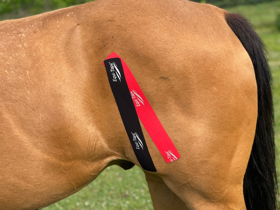 Equi-Tape® application to activate the equine TFL muscle to support the stifle.