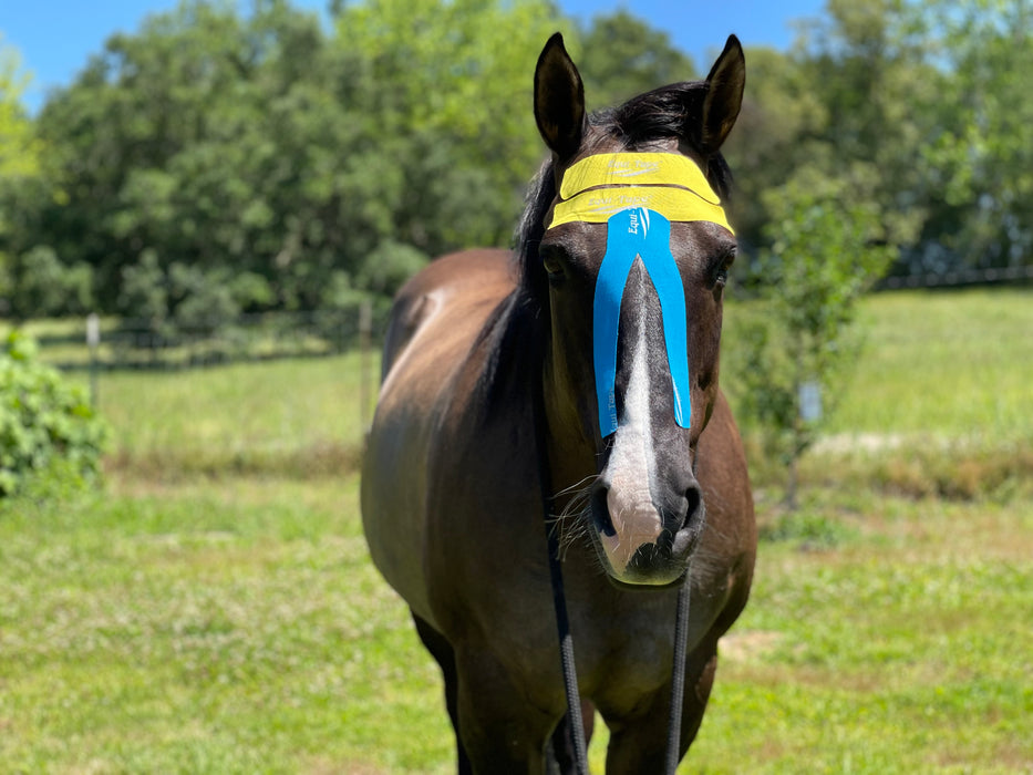 Equi-Tape Application for grounding, calming and open airways