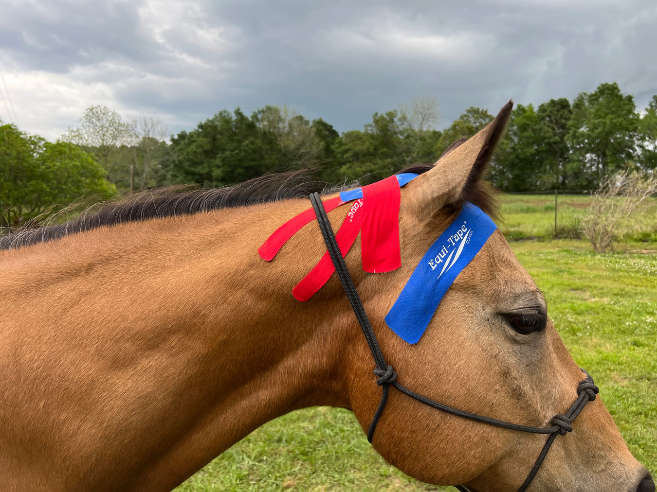 Equi-Tape Application for poll decompression