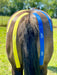 Equi-Tape application for pregnant mares. Use this application to support the hips and pelvis, and relax the "hamstring" muscles. Safe for pregnant mares. 