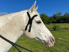 Equi-Tape Application for TMJ support