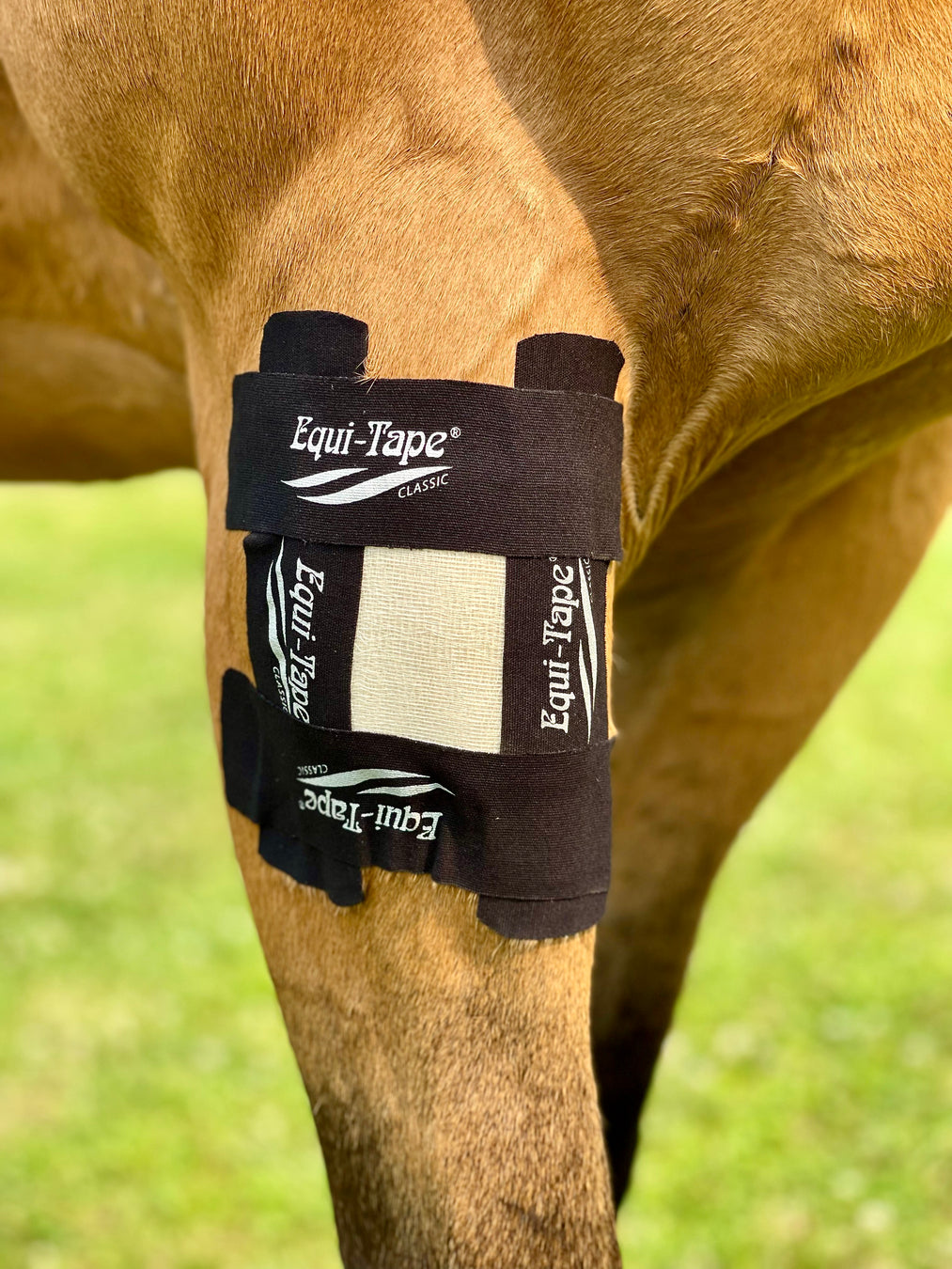 Equi-Taping® wound care application for injuries that create open wounds. 