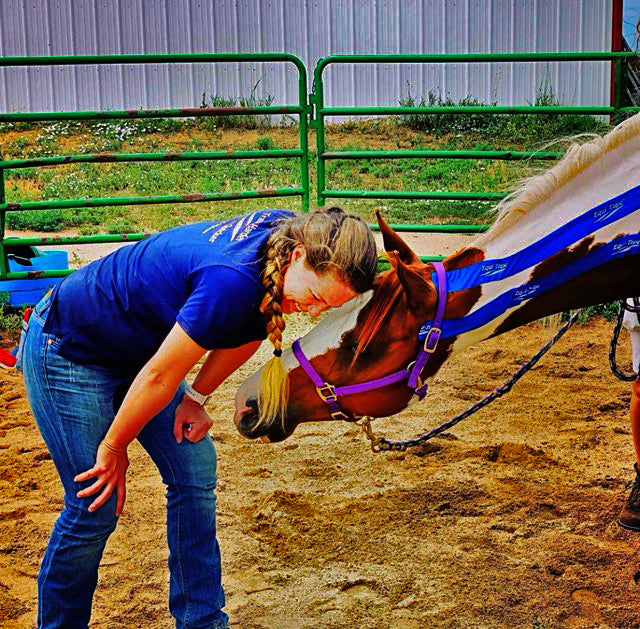 Rebecca Haddock, worlds expert in equine kinesiology taping, getting a big thank you after taping a horses neck to reduce their discomfort and regain normal biomechanics and full range of movement. 