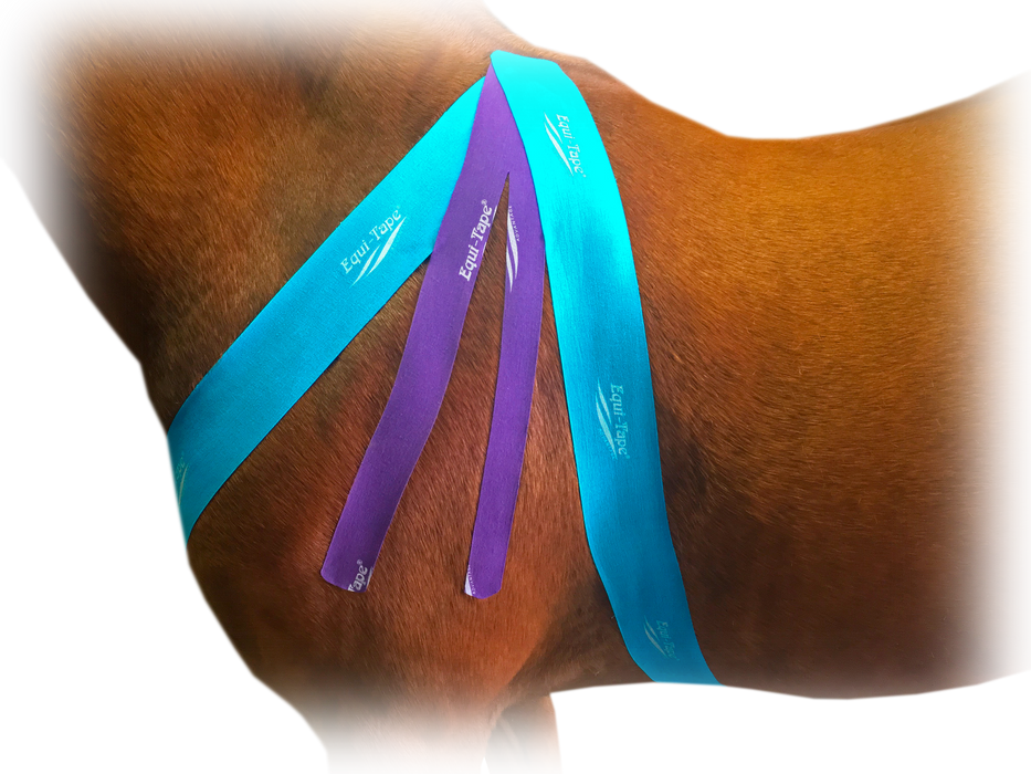 Equi-Tape® application for equine shoulder support. Use Advantage 3" tape for better support.