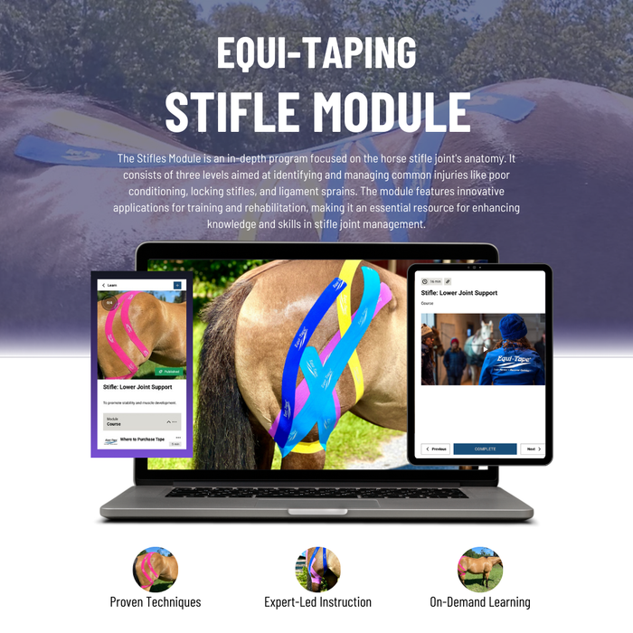 Equi-Tape Stifle Module - Designed to teach anatomy and biomechanical function of the stifle joint, as well as learn practical ways to support it. By implementing these techniques, you'll not only prevent injuries, but also improve performance and build strength.
