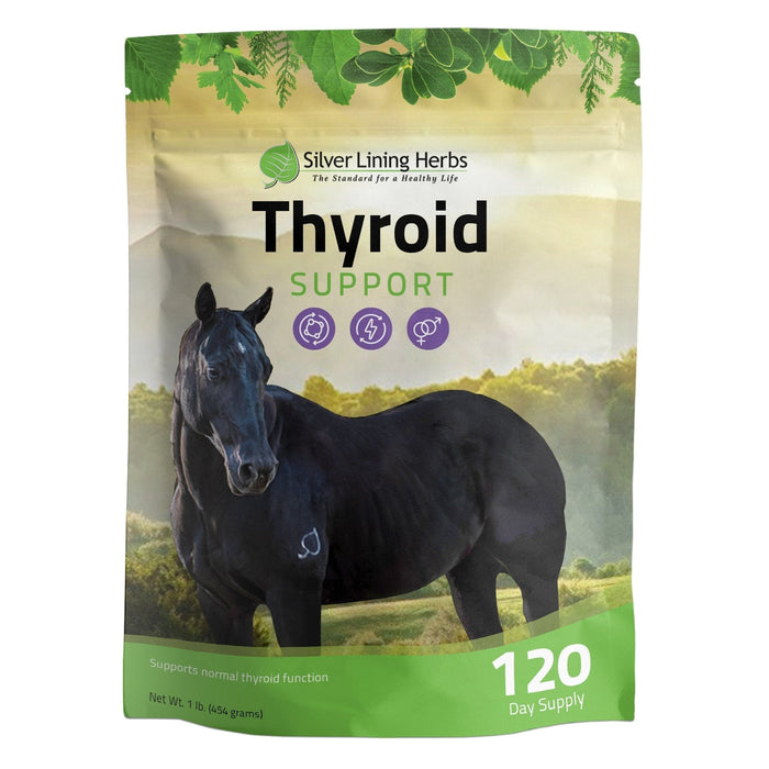 Thyroid Support for Horses