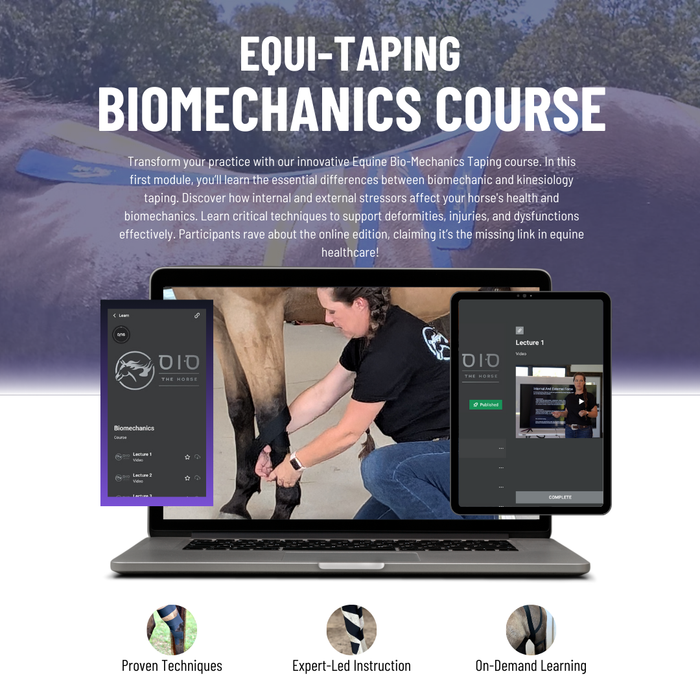 OIO - Equine Biomechanics Course