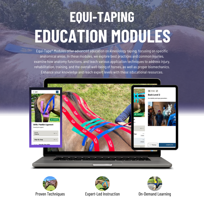 Equi-Tape® Fundamentals Course & Module Bundle