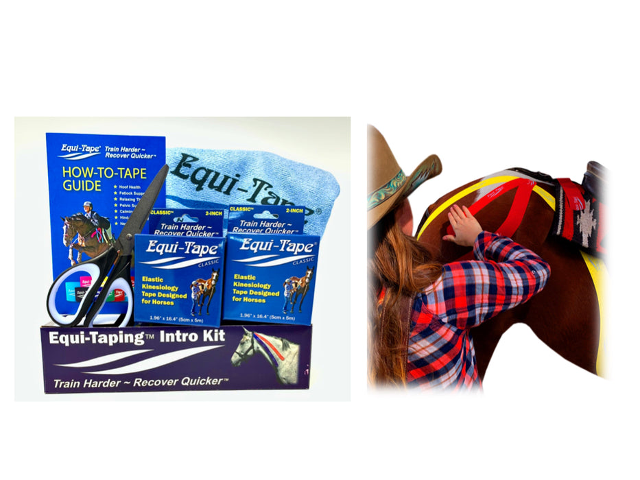 Equi-Taping® Fundamentals Course & Kit
